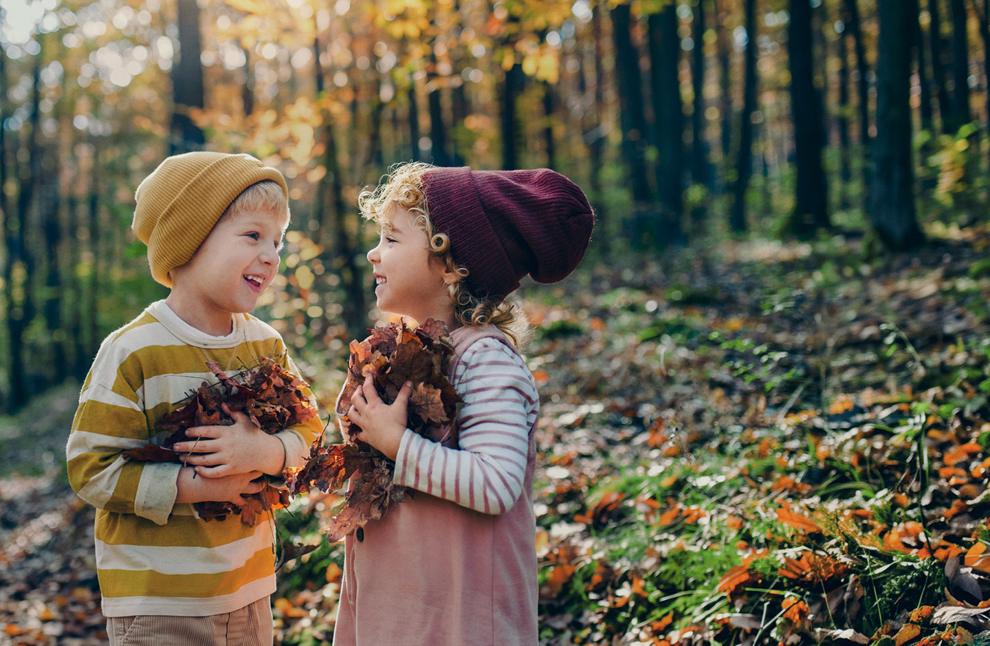 Ein Mädchen und ein Bub stehen im Wald und sammeln Laub.